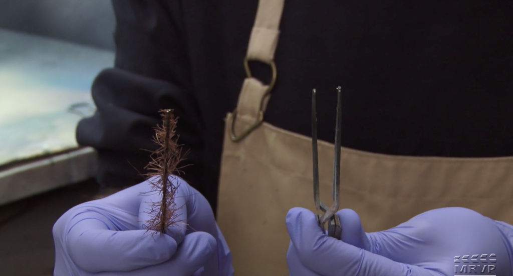 David Popp with burnt model forest tree