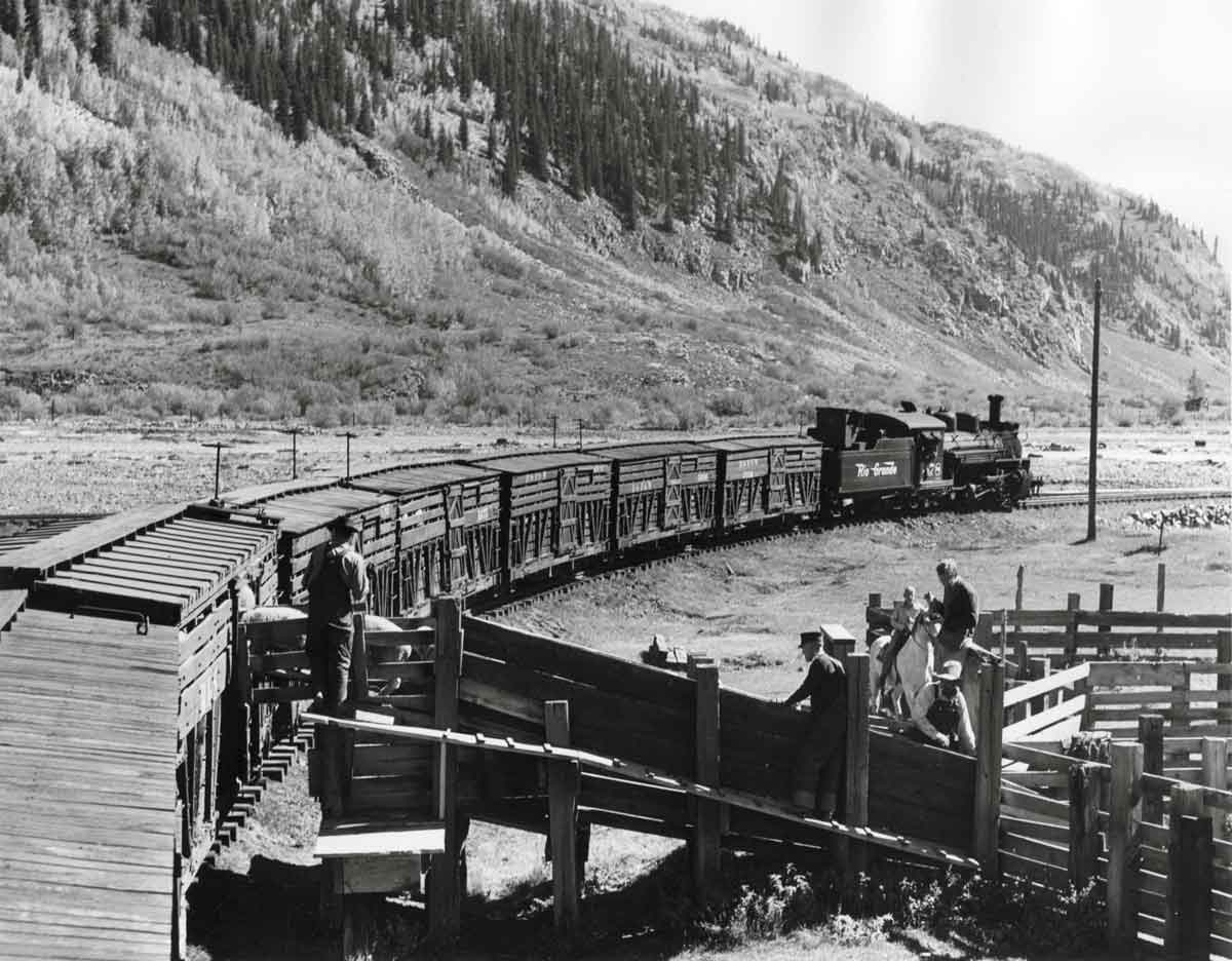 Denver and Rio Grande Western Railroad livestock cars in Silverton