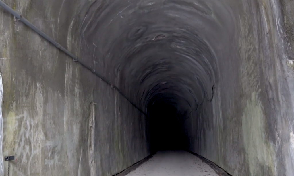 A gray-colored cement-lined railroad tunnel as seen from the mouth.