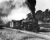 Steam locomotive on freight train at speed