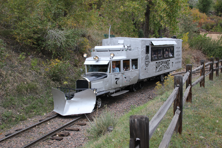 Goose_ColoMuseum_Lassen