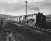Steam locomotive with passenger train in yard