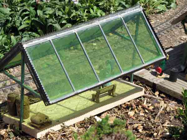 greenhouse5