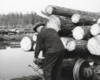 A man loading lumber 