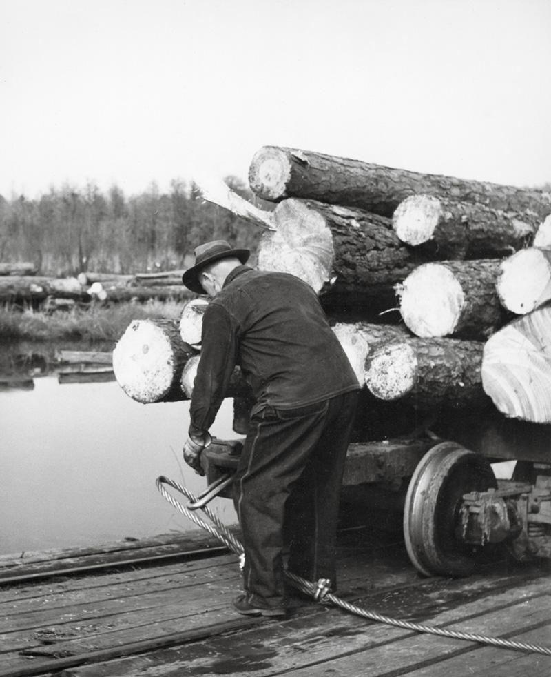 A man loading lumber