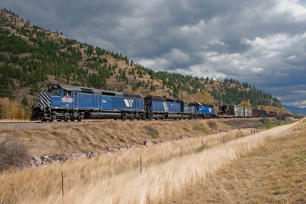 A train passing through a grassy area