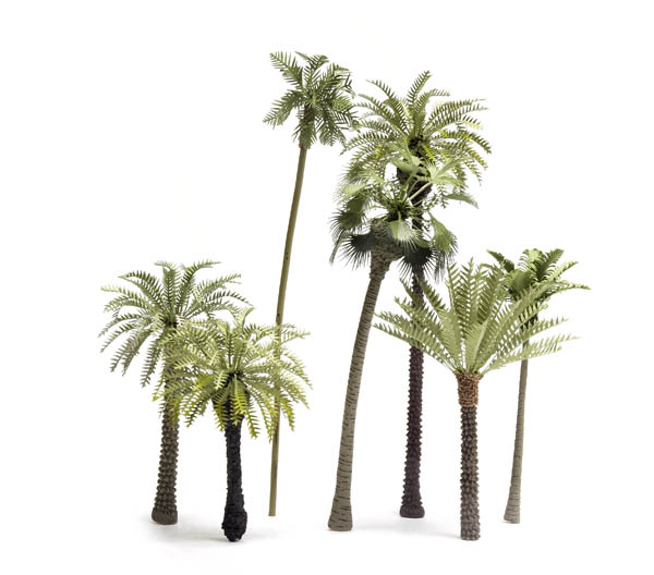 SiSt Trees multiple-scale palm trees