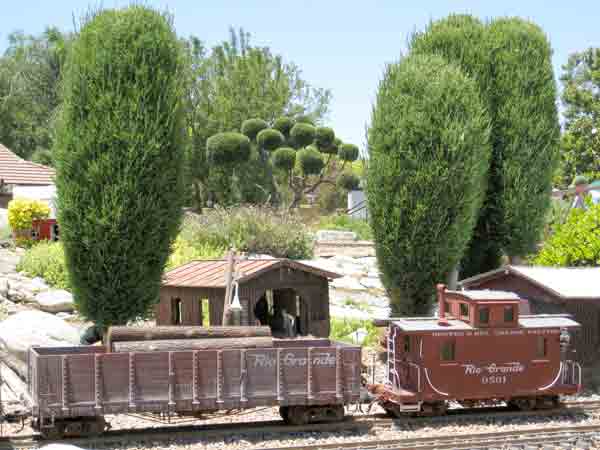 train passing a bunch of trees