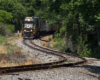 Norfolk Southern Yadkin Local traveling through some trees