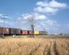 A distant shot of a train passing through farmland 