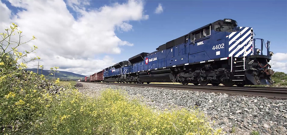 A blue and white-striped diesel locomotive hauls a freight train through a green Montana field under blue skies and white clouds.