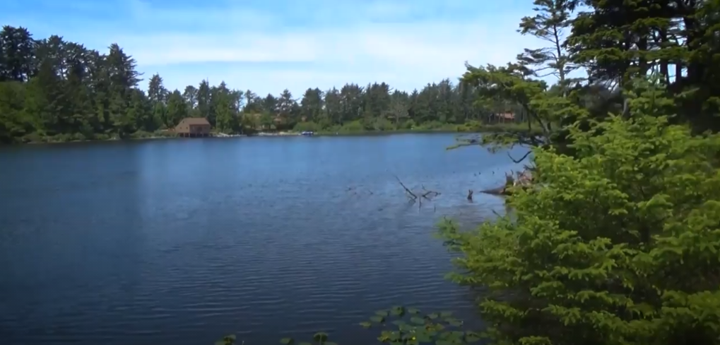 Lake with trees and a small house