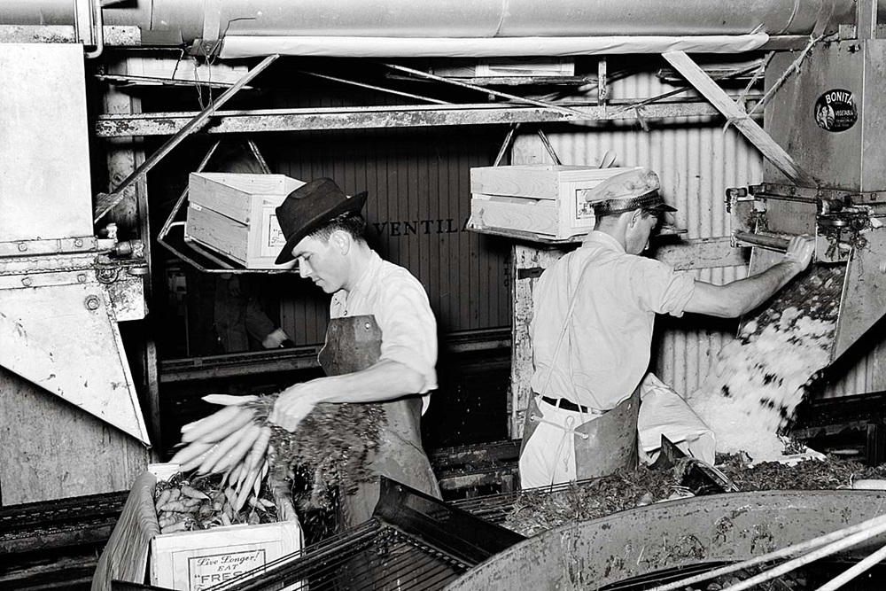 Workers packing ice in crates
