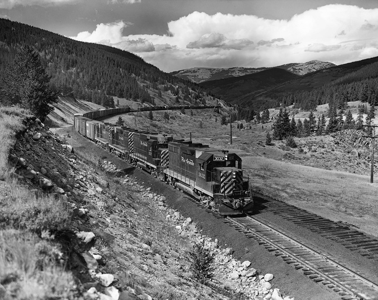 Geeps on Tennessee Pass