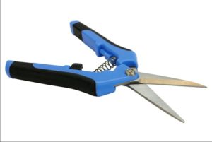 Super sharp blue cutters