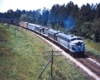 Several diesel locomotives coupled together lead a freight train.