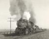 A steam locomotive leads a freight train up a long grade.