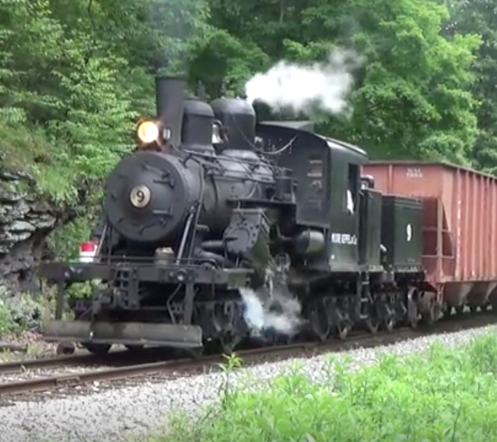 Geared steam locomotive hauling a train through the forest.