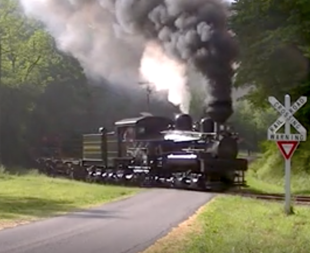 Logging steam locomotive moving through a grade crossing, showing smoke and steam, surrounded by forest.