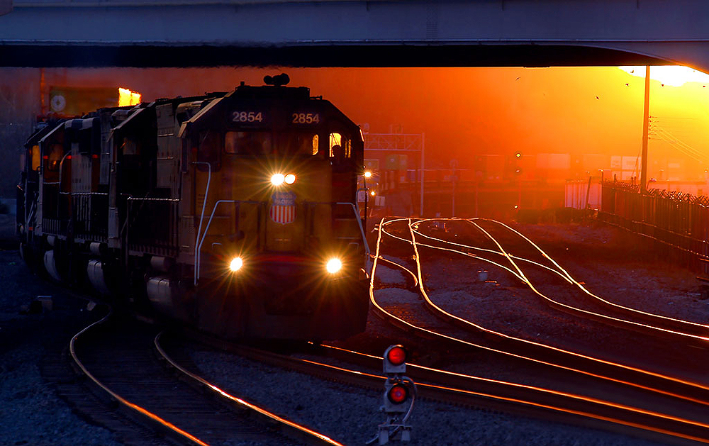 Locomotive hauls a train on yard tracks under a bridge backlit by low angle sunlight.