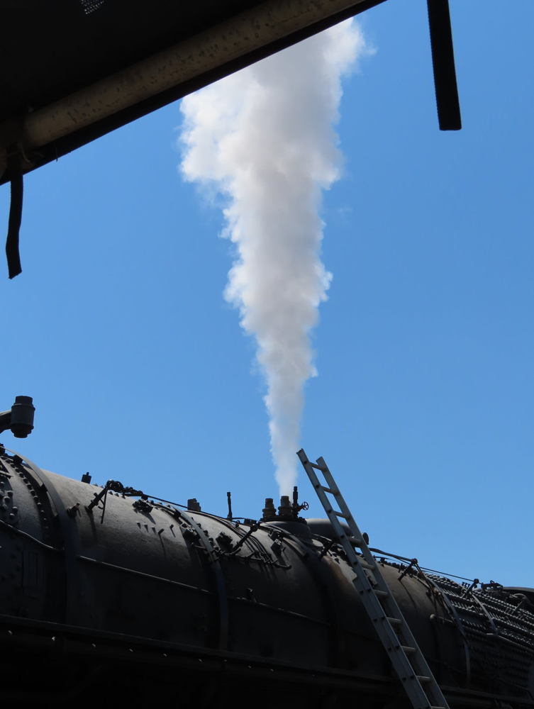 Plume of steam above locomotive