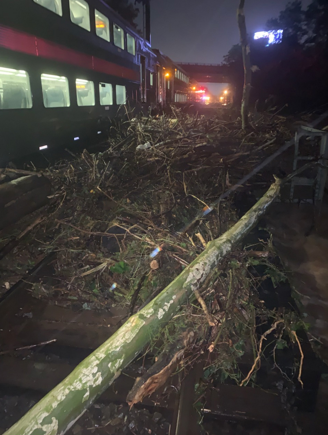Tree branches covering rail line next to commuter train