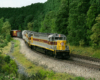 Three gray-and-maroon diesels lead a manifest freight through an S curve along a creek in the forest