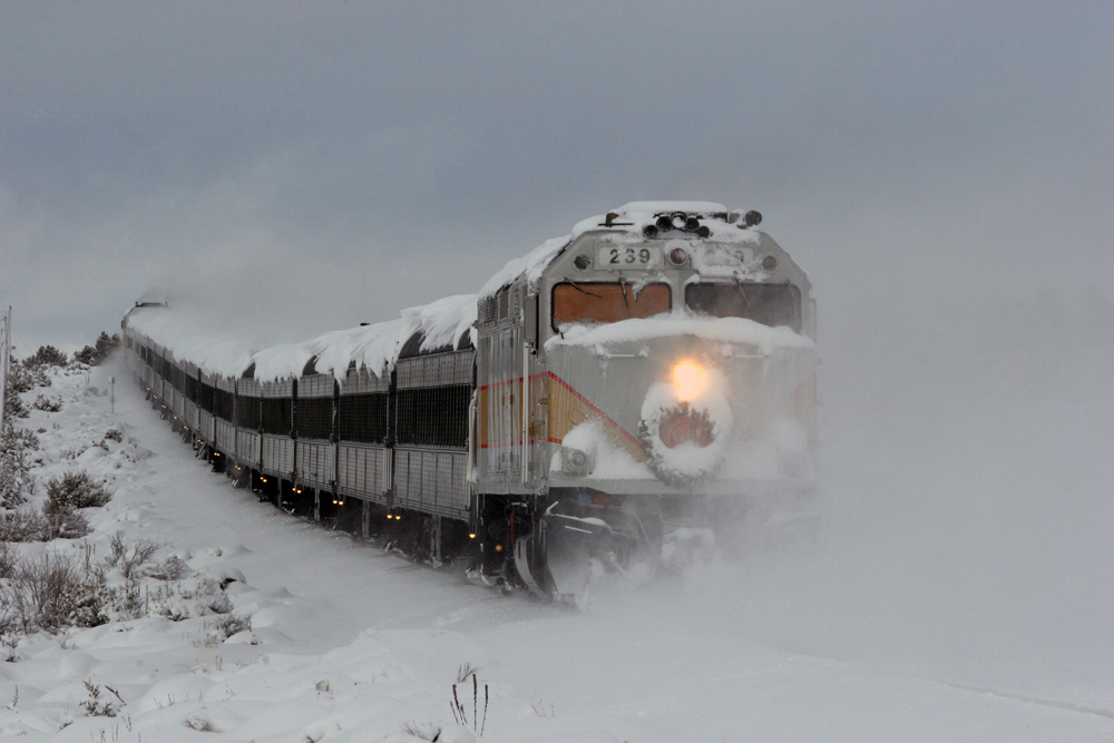 Bring on the snow-themed photo gallery - Trains