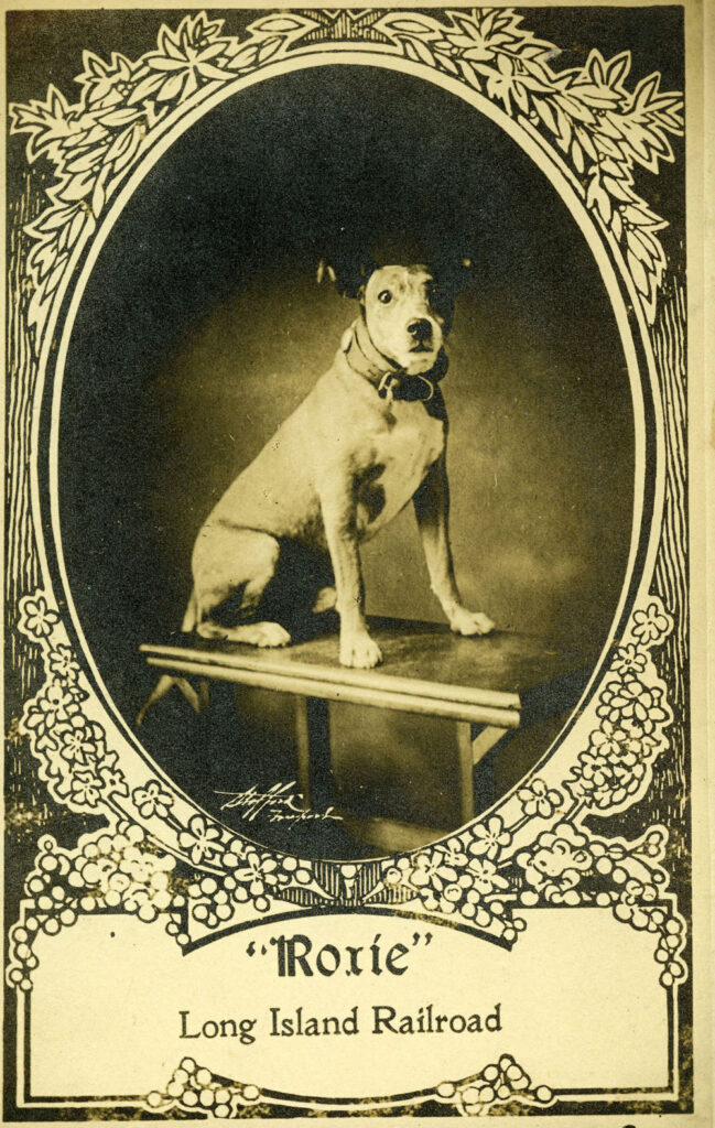 vintage postcard with dog on it