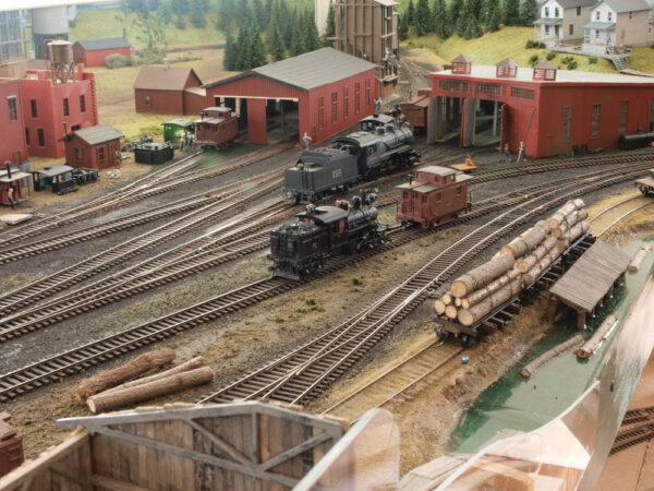 The Buffalo & Susquehanna Railroad - Trains