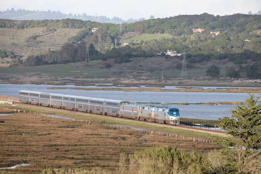Passenger train passing through wetlands