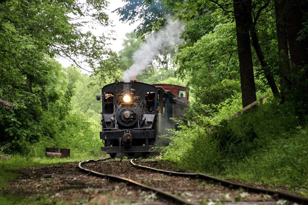 Steam locomotive in woods on very light and uneven track