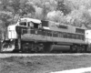 Striped Algoma Central locomotive with trees