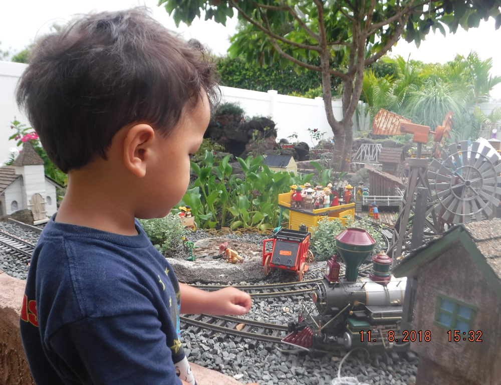 Playmobil in the garden railroad - Trains