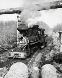 Steam locomotive under log flume