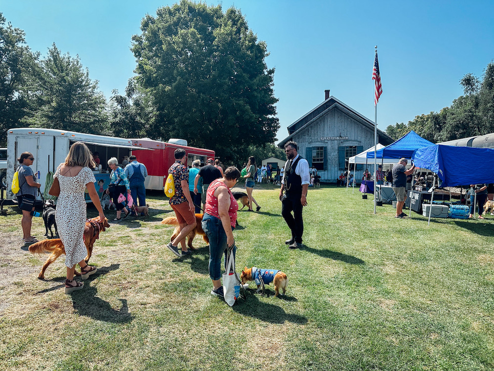 Dogs taking part in festivities at railroad depot.