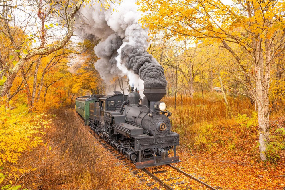 Shay locomotive leads passenger train through fall foliage
