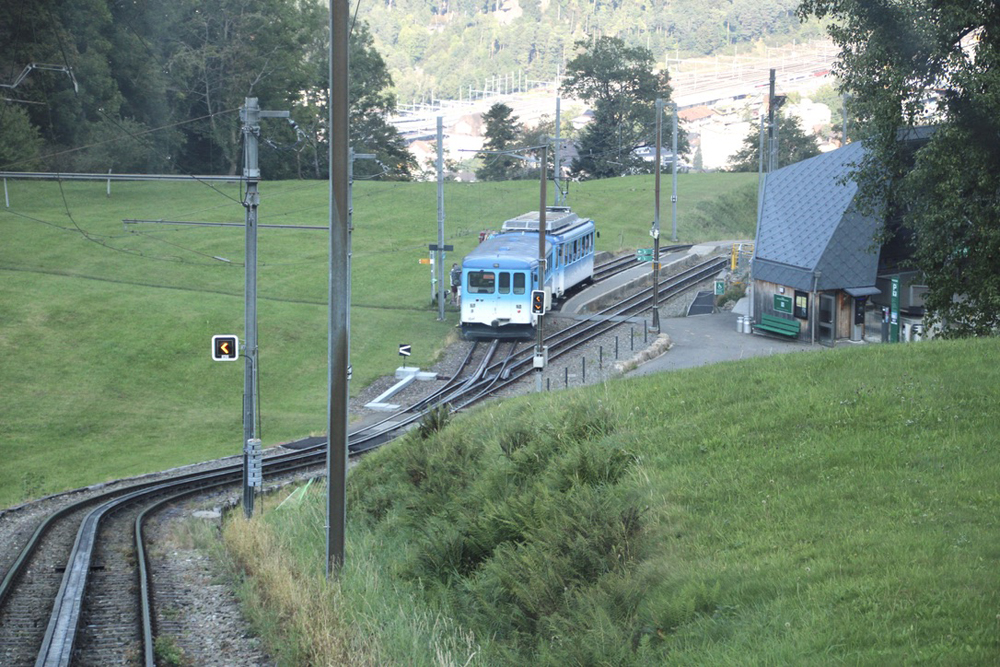 View of two-car blue train from another train