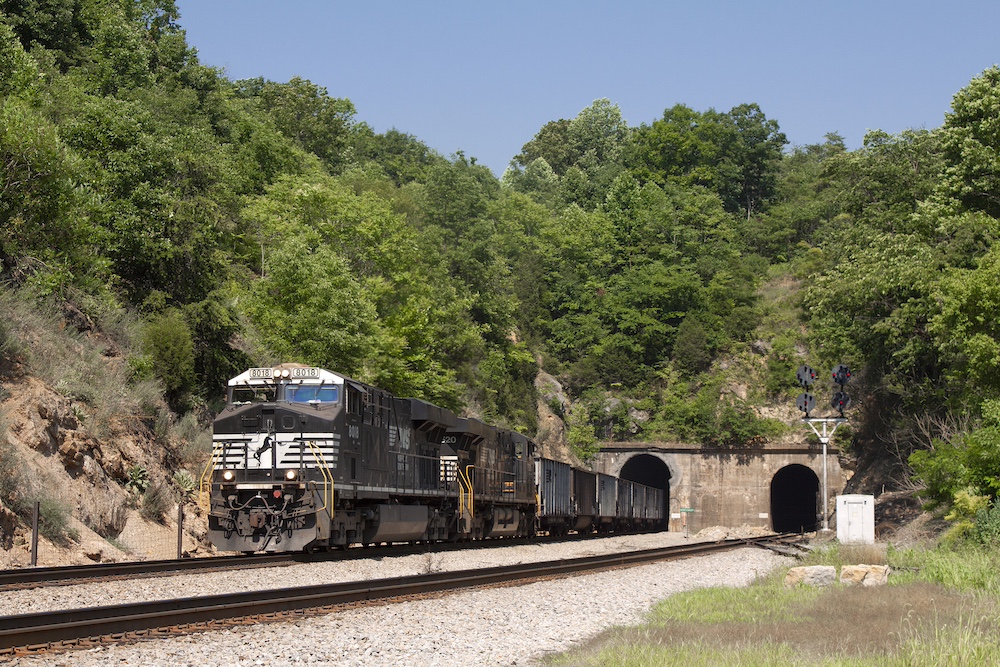 A pair of black and white locomotives exist a tunnel cut into a tree-covered hillside