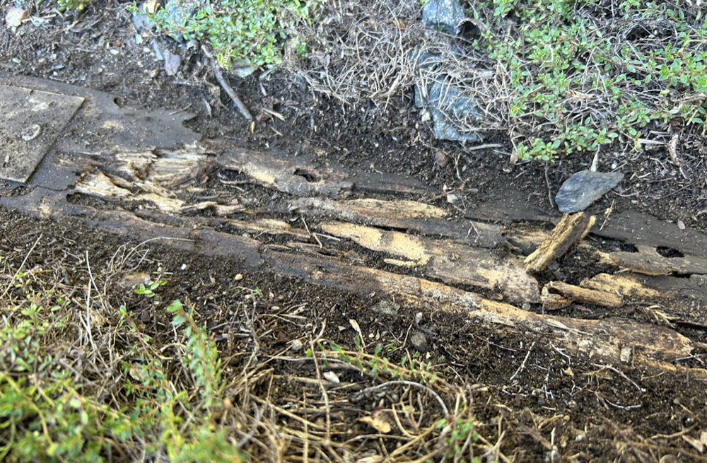 rotted piece of landscape timber