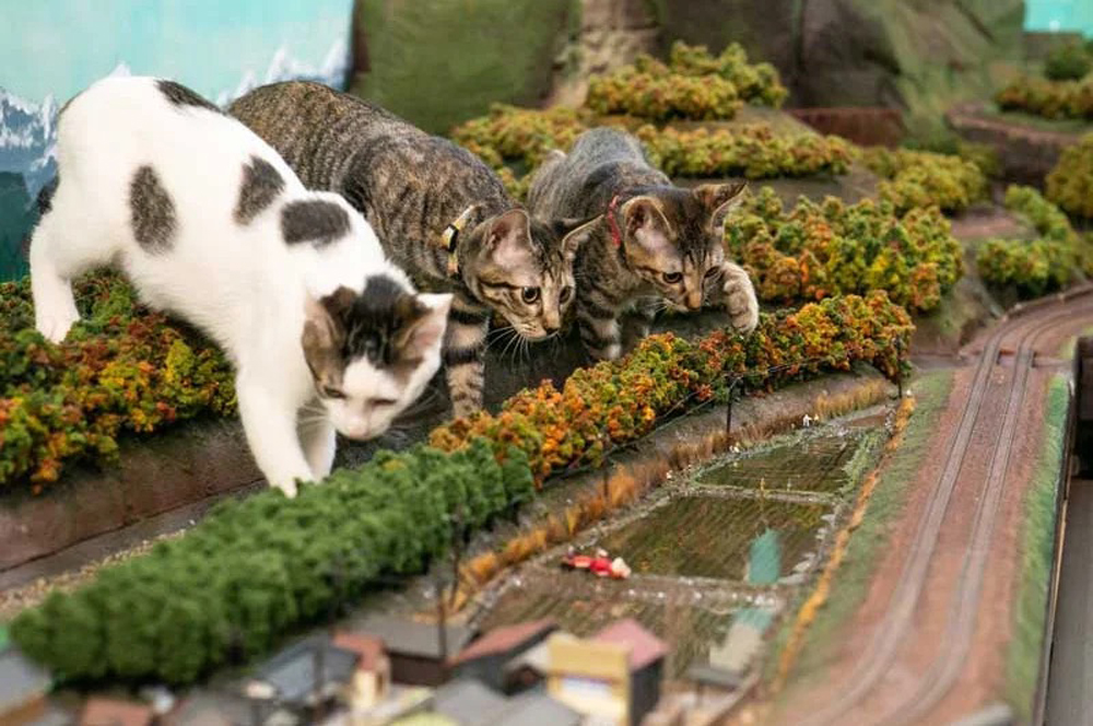 An image of three cats on a model railroad layout