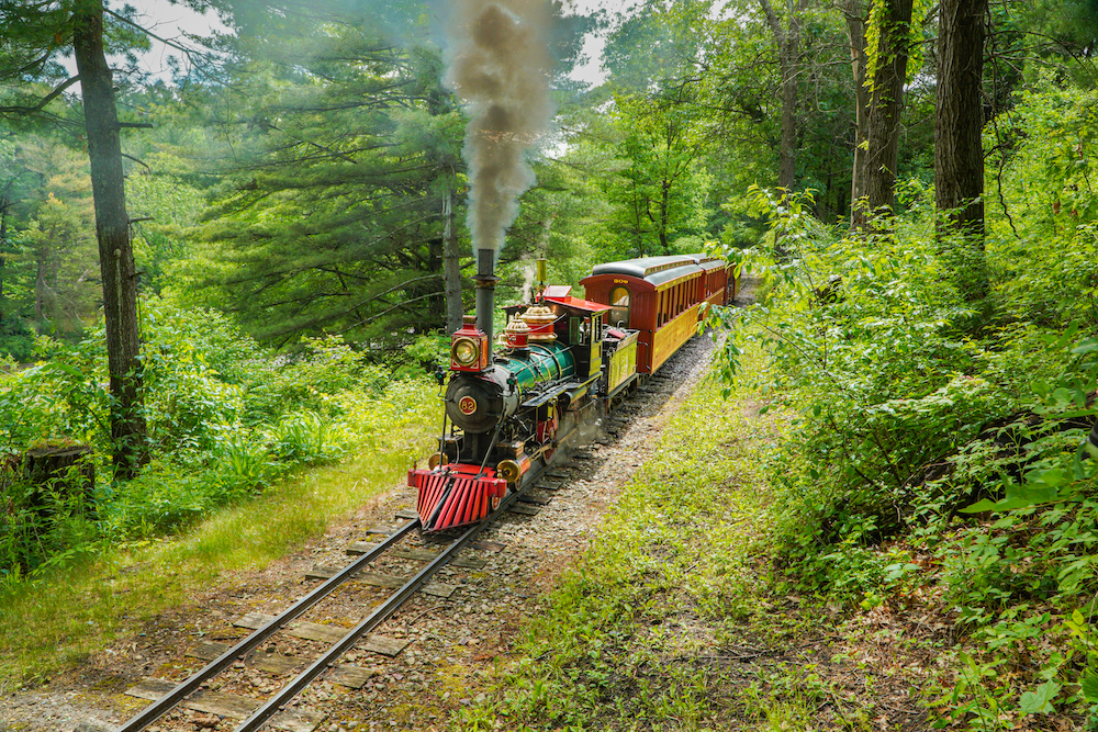 Little steam-powered train travels through a wooded area.