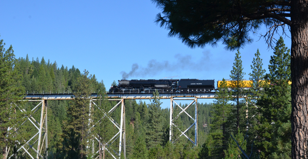 Steam locomotive on high bridge