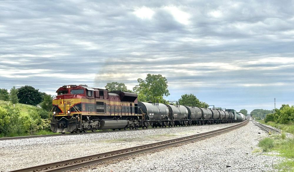 Train with one locomotive under cloudy skies