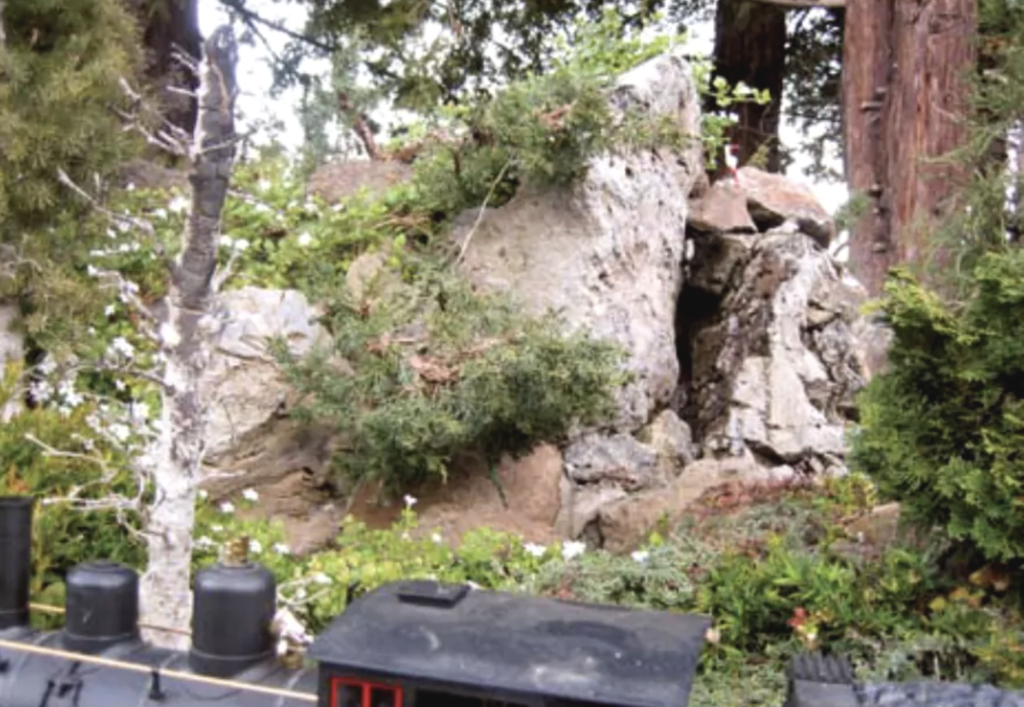 tree on garden railroad next to a large rock