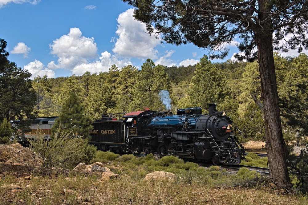 Steam- and diesel-powered excursion train traverses a forest-like setting as Grand Canyon No. 4960 challenges grades during railway’s multiple anniversaries