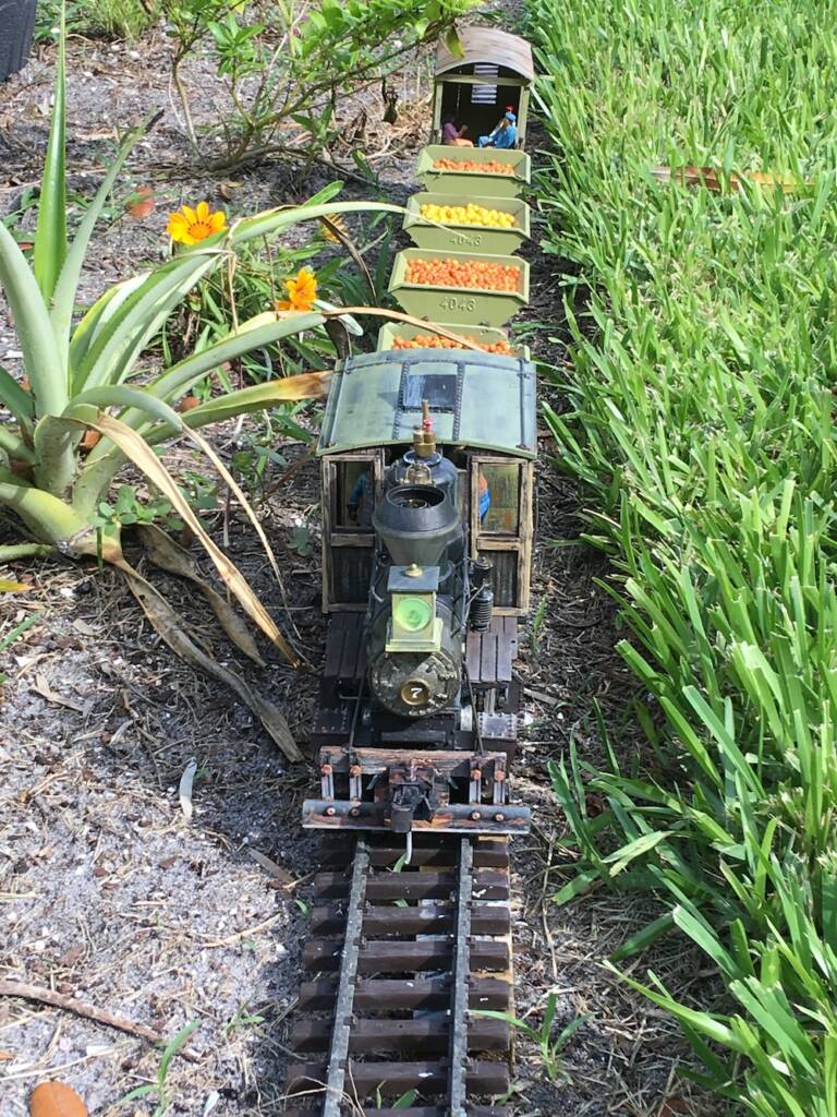 model train in garden railroad