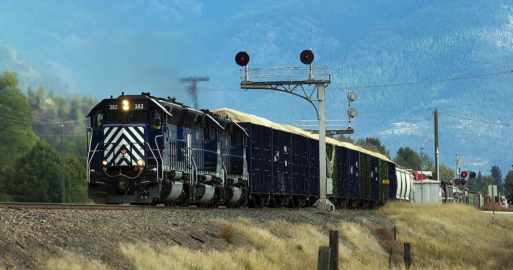 A train passes in front of a large mountain in the background