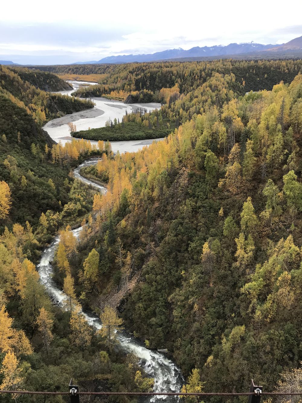 Deep mountain gulch with river at bottom. Alaska by rail.