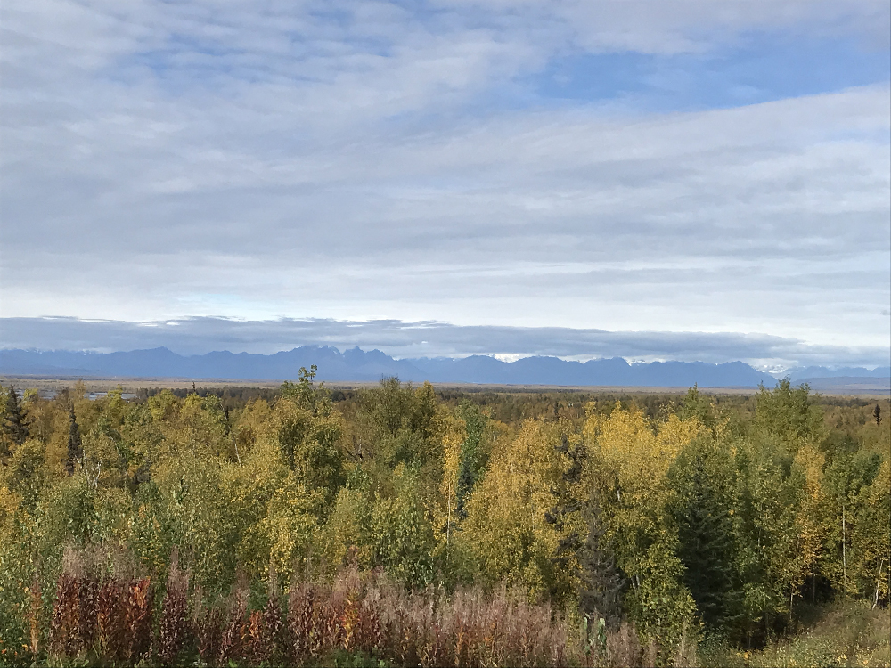 Alaskan mountain range including Denali. Alaska by rail expedition.